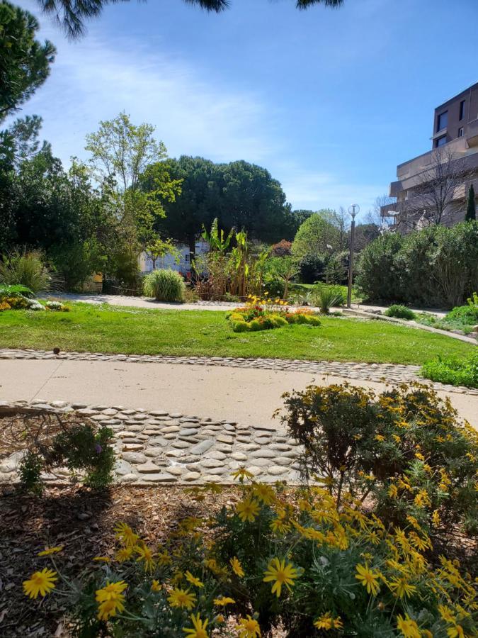 Le Grenier, Climatisation Terrasse Wi-Fi Netflix 15 Mn Coeur De Ville Béziers Buitenkant foto